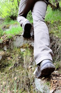 dreamstime_l_545824224