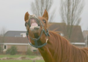 dreamstimefree_65987